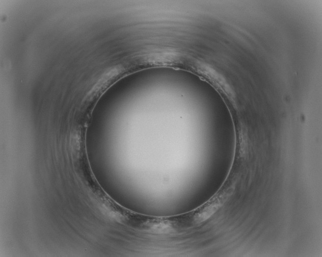 X0000064050113200601301223