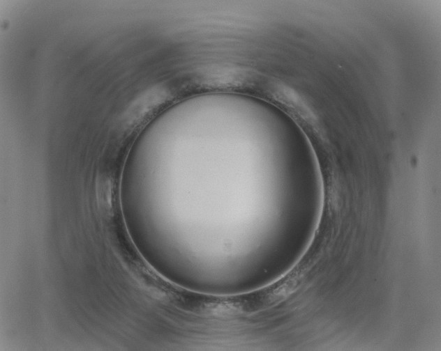 X0000064050115200601301223