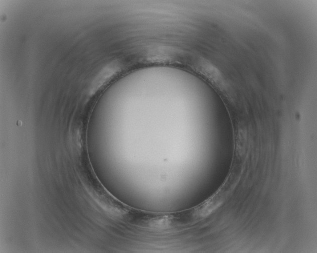 X0000064050116200601301223