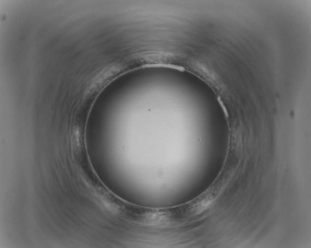 X0000064050117200601301223