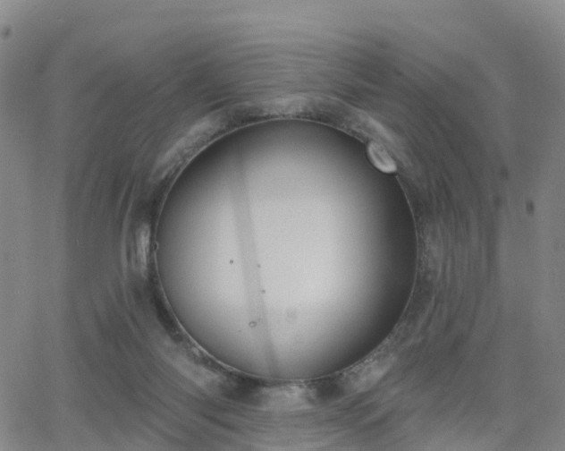 X0000064050118200601301223