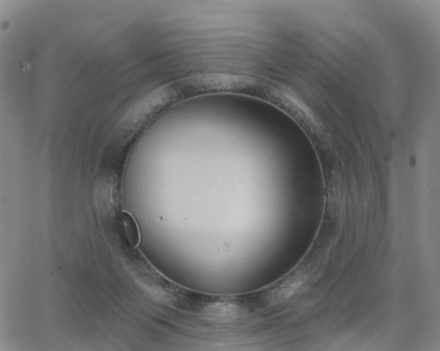 X0000064050119200601301223