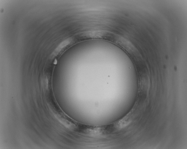 X0000064050120200601301223