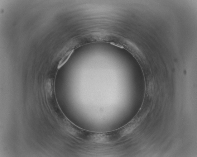 X0000064050121200601301223