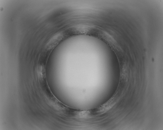 X0000064050122200601301223