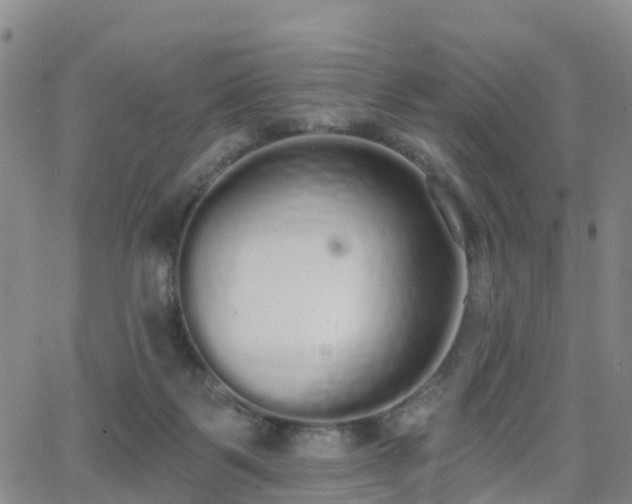 X0000064050123200601301223