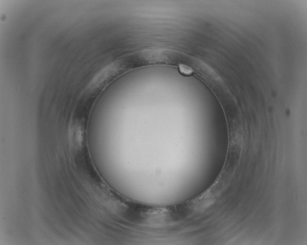 X0000064050124200601301223