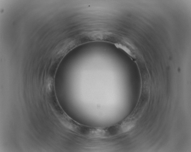 X0000064050125200601301223