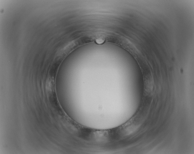 X0000064050126200601301223