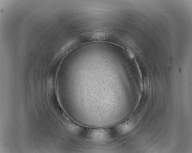 X0000064050127200601301223