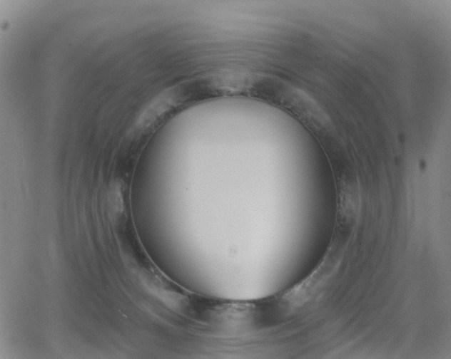 X0000064050128200601301223