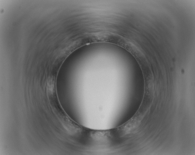 X0000064050129200601301223