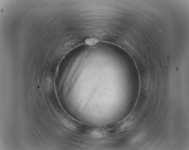 X0000064050130200601301223