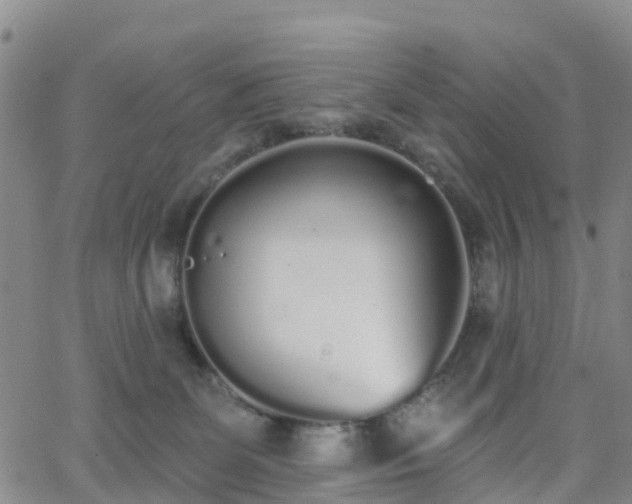 X0000064050131200601301223