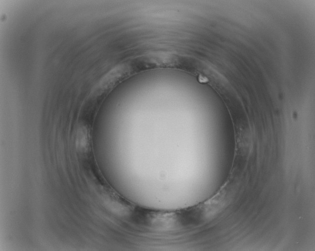 X0000064050132200601301223