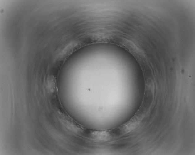 X0000064050133200601301223