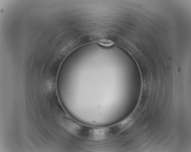 X0000064050134200601301223