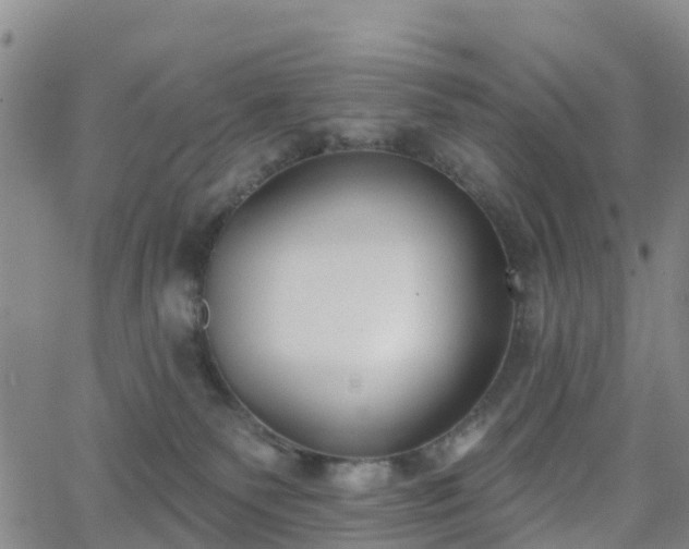 X0000064050135200601301223