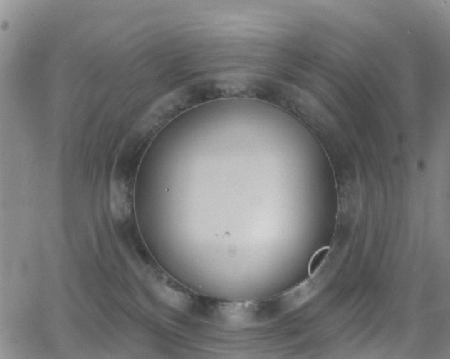 X0000064050136200601301223