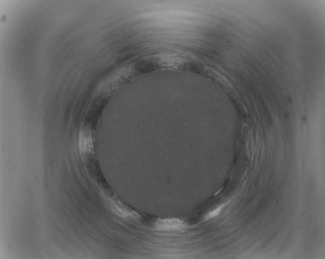 X0000064050137200601301223