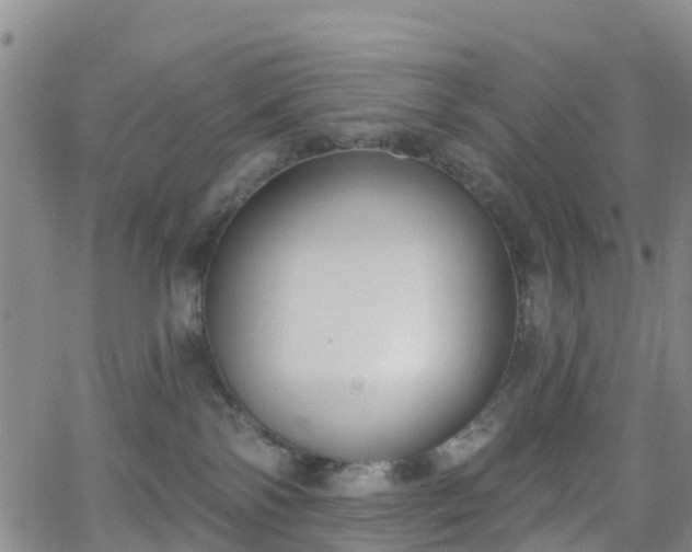 X0000064050138200601301223