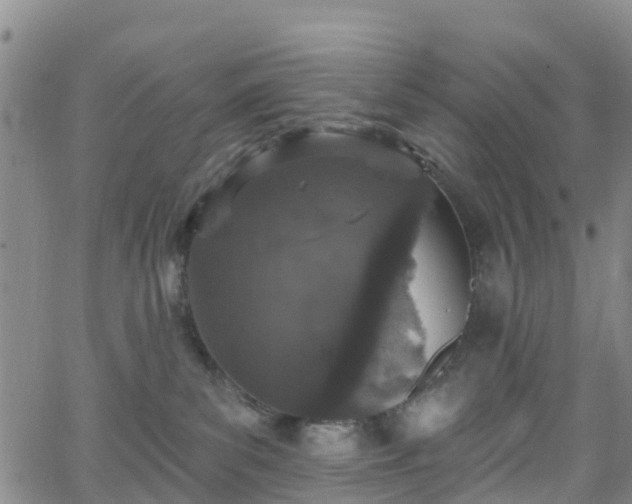 X0000064050139200601301223