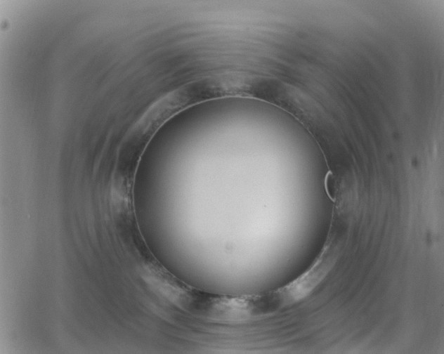 X0000064050140200601301223