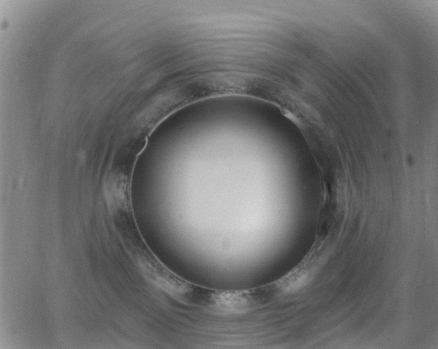 X0000064050141200601301223