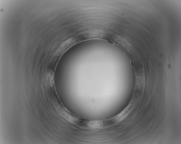 X0000064050142200601301223