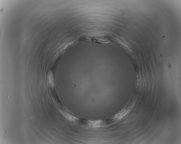 X0000064050143200601301223