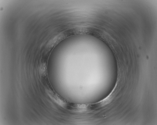 X0000064050144200601301223