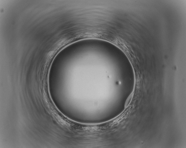 X0000064050145200601301222