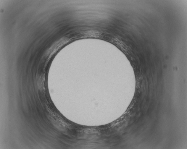 X0000064050146200601301222