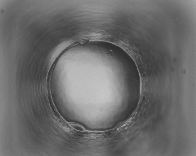 X0000064050147200601301222