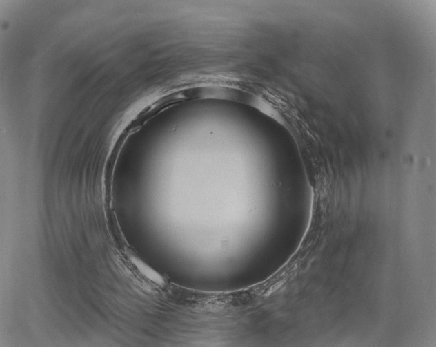 X0000064050148200601301222