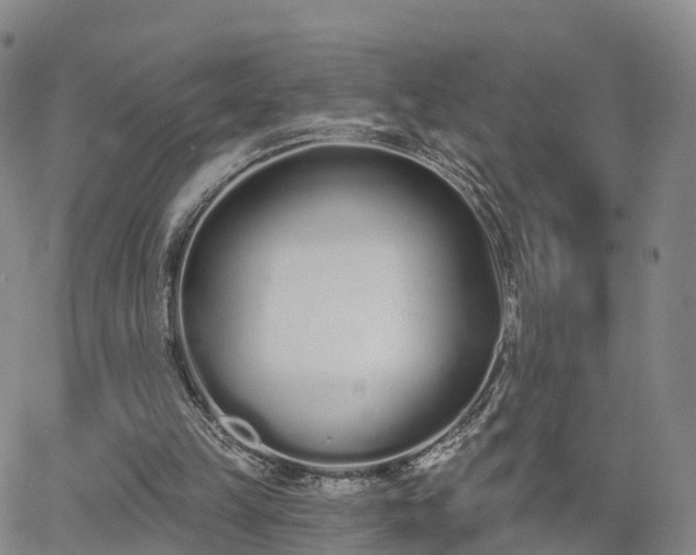 X0000064050149200601301222