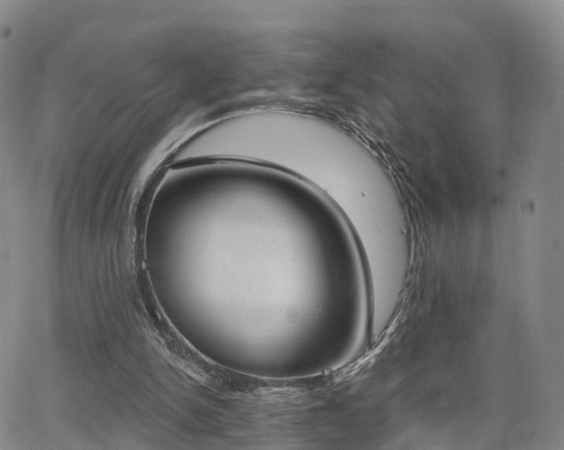 X0000064050150200601301222