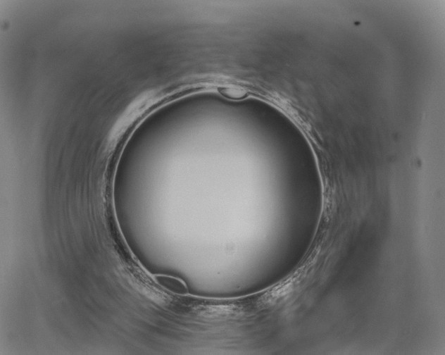 X0000064050151200601301222