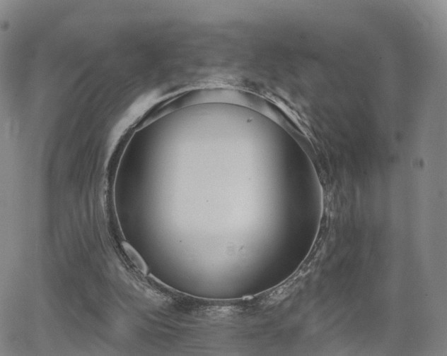 X0000064050152200601301222