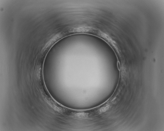 X0000064050153200601301222