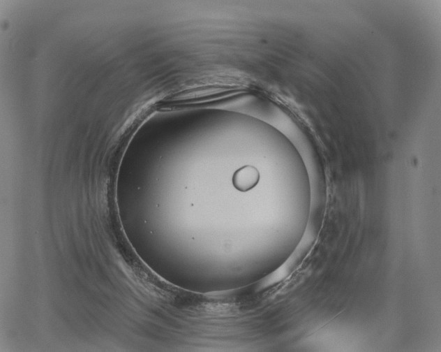 X0000064050154200601301222