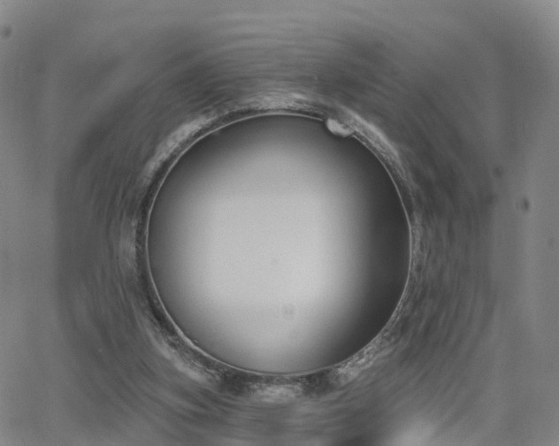 X0000064050155200601301222