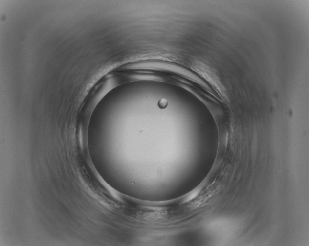 X0000064050156200601301222