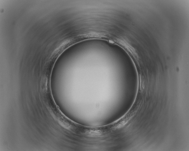 X0000064050157200601301222