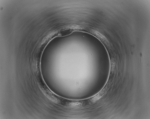 X0000064050158200601301222