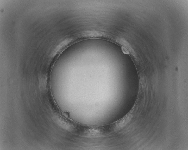 X0000064050159200601301222