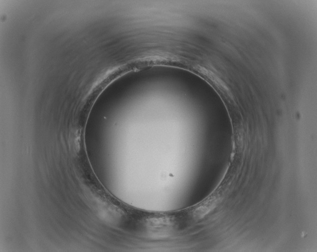 X0000064050160200601301222