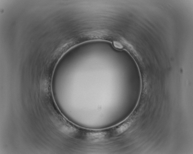 X0000064050161200601301222