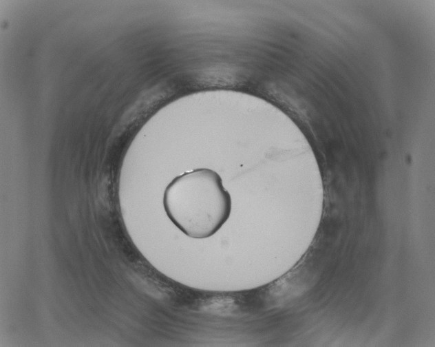 X0000064050162200601301222