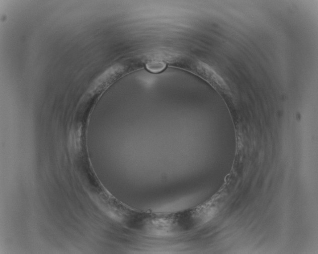 X0000064050163200601301222